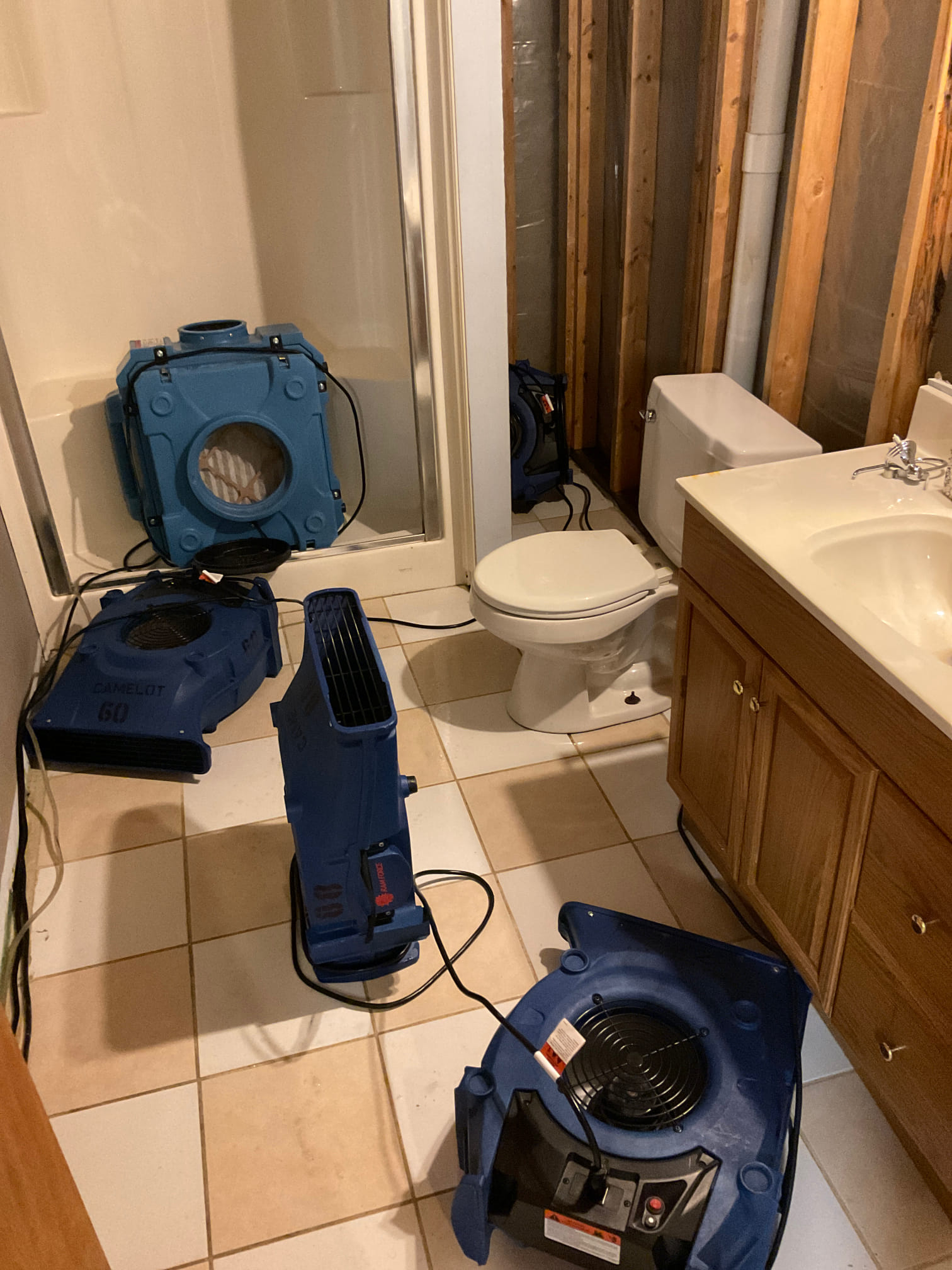 Toilet Overflow in Kalamazoo, MI