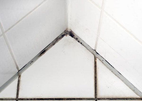 Mold and Mildew in Your Bathroom