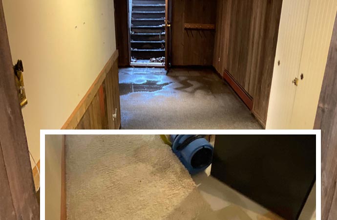 Before and after image of carpet water removal showing restoration progress