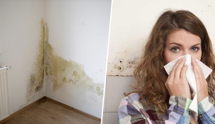 health issues for mold