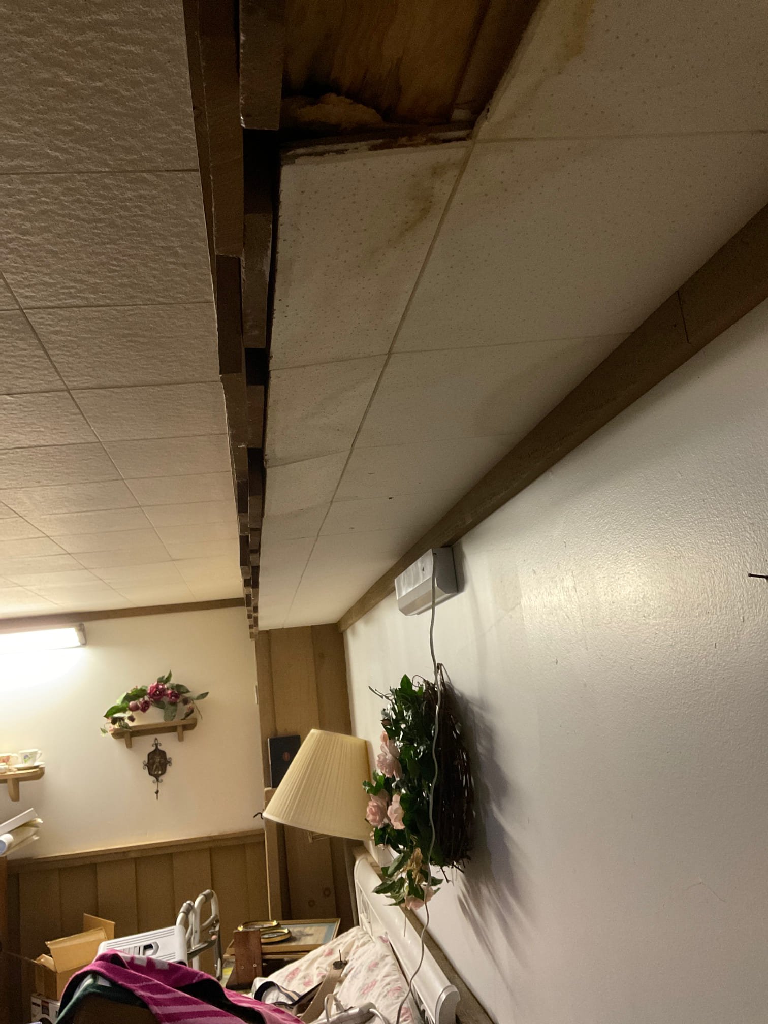 Wet basement ceiling from kitchen leak upstairs 