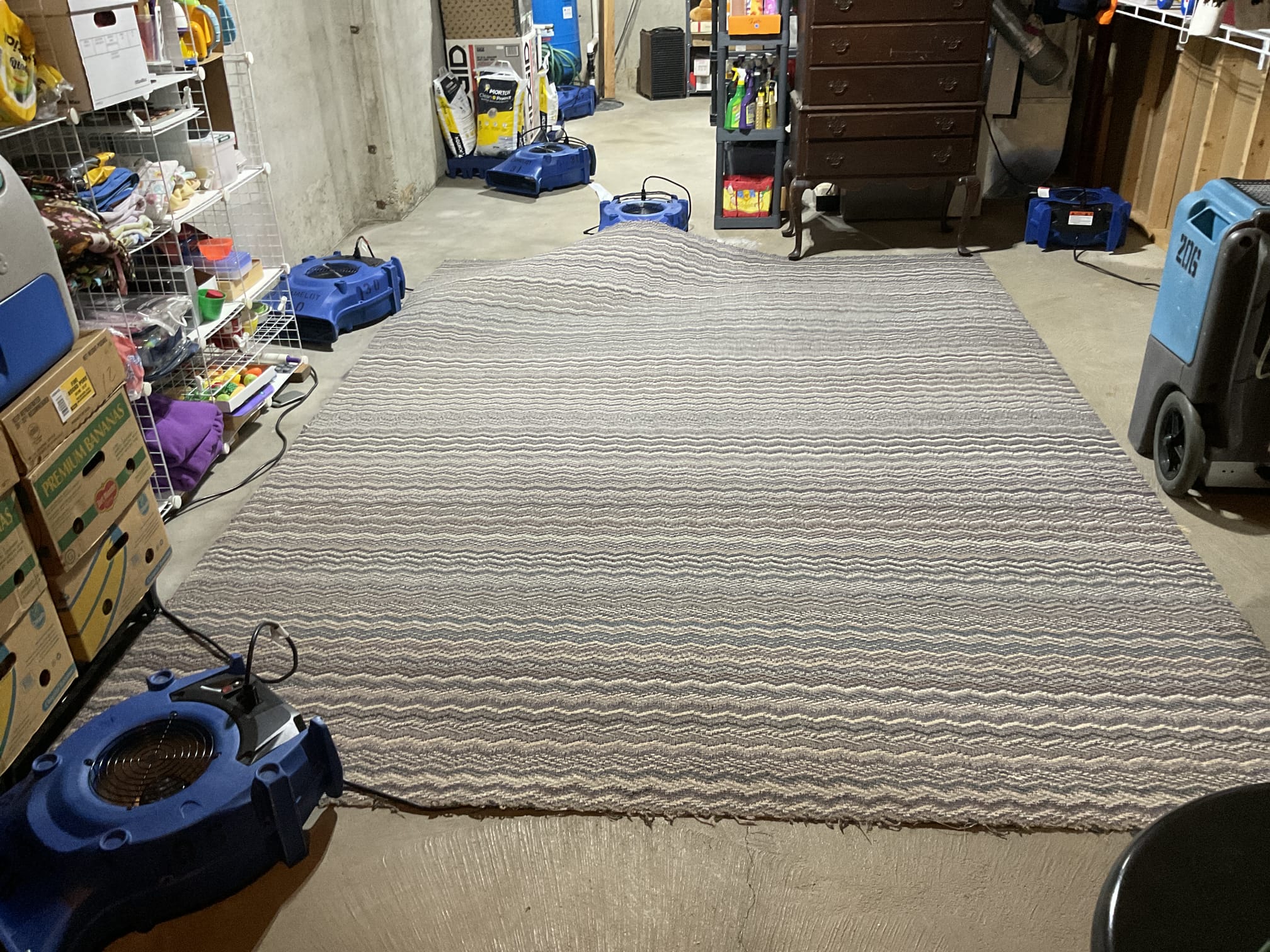 Drying of floor & rug 