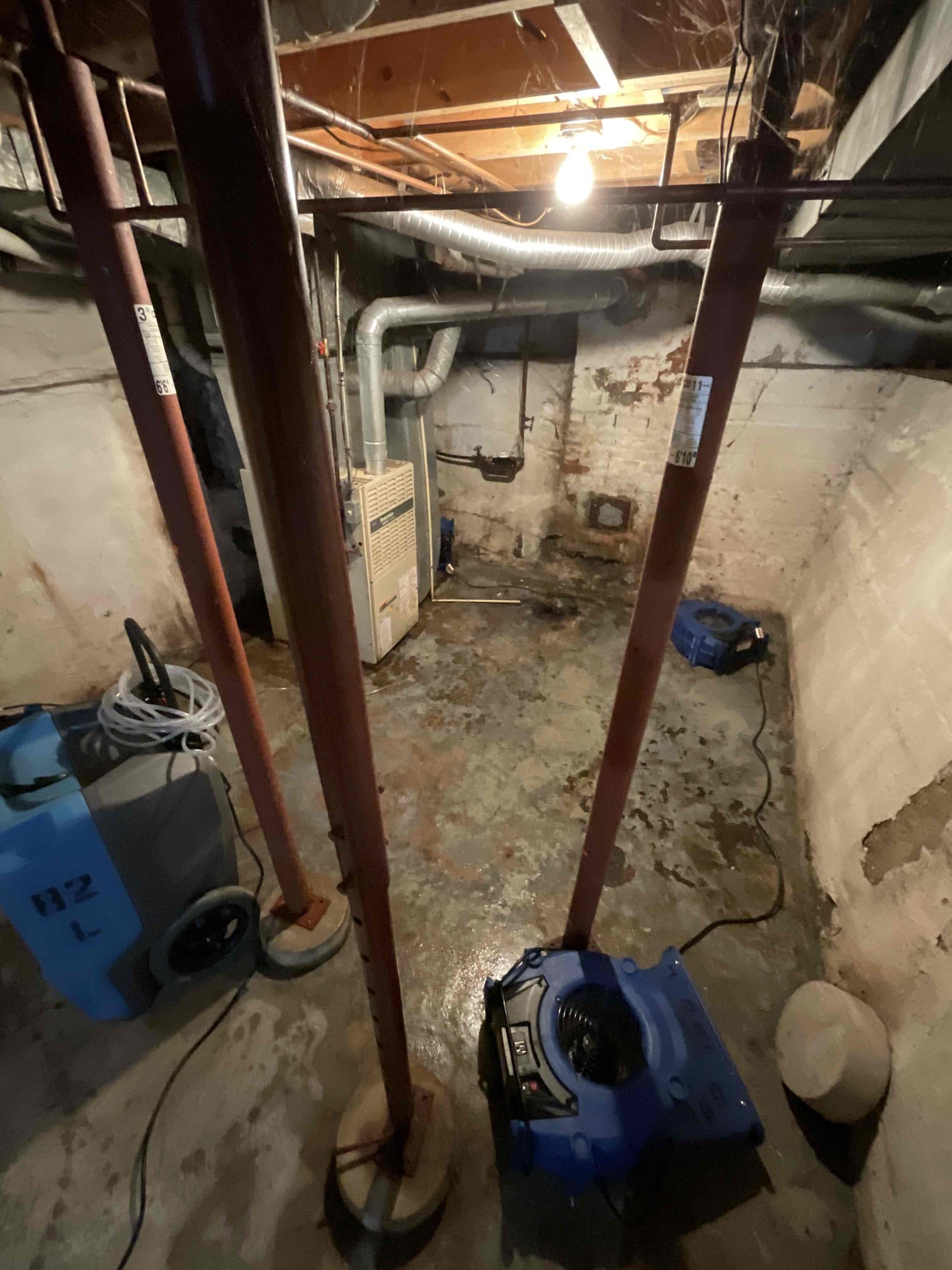 Sewage backup in unfinished basement in Lansing, MI