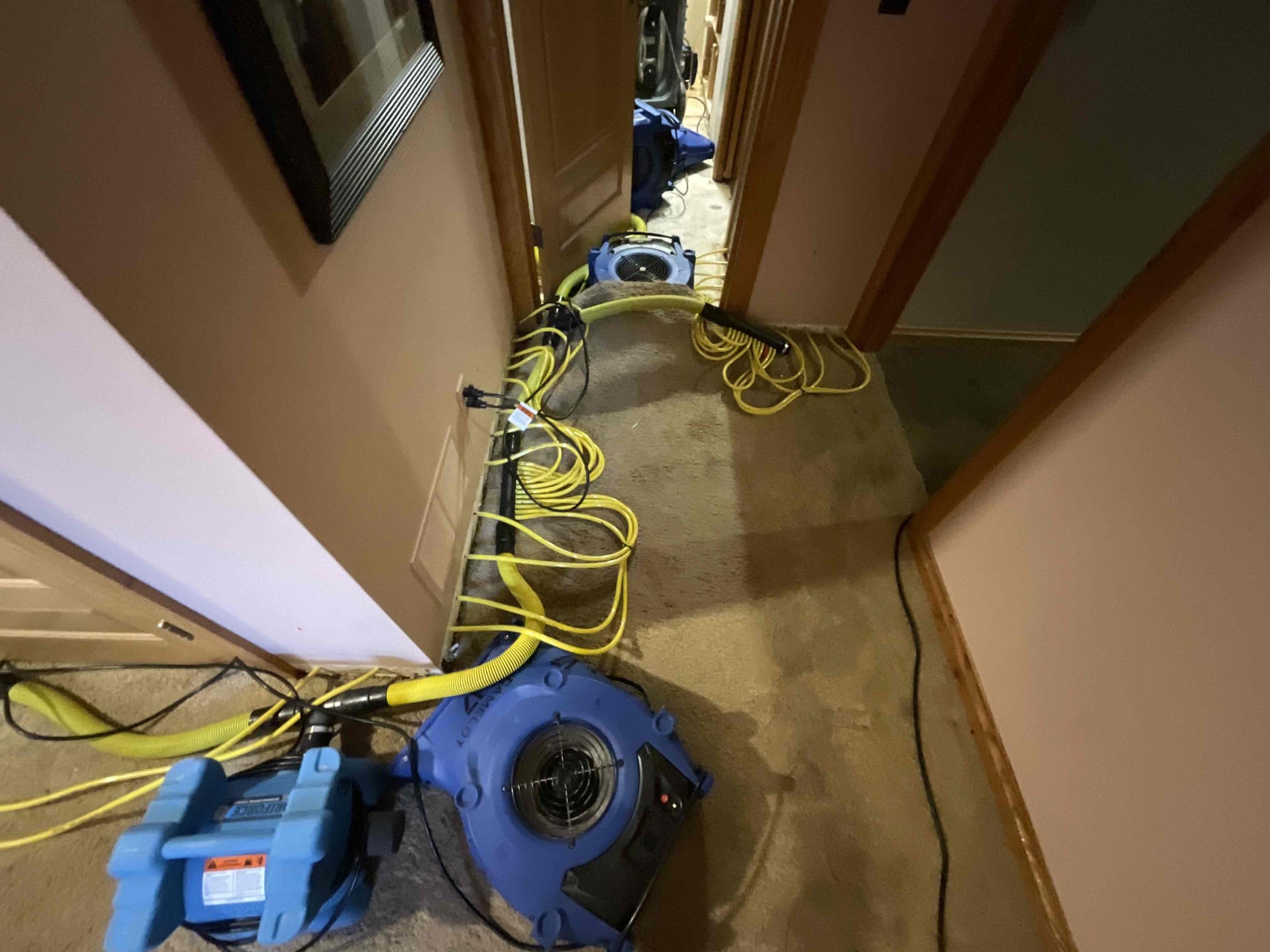 Drying of basement after water softener fail 