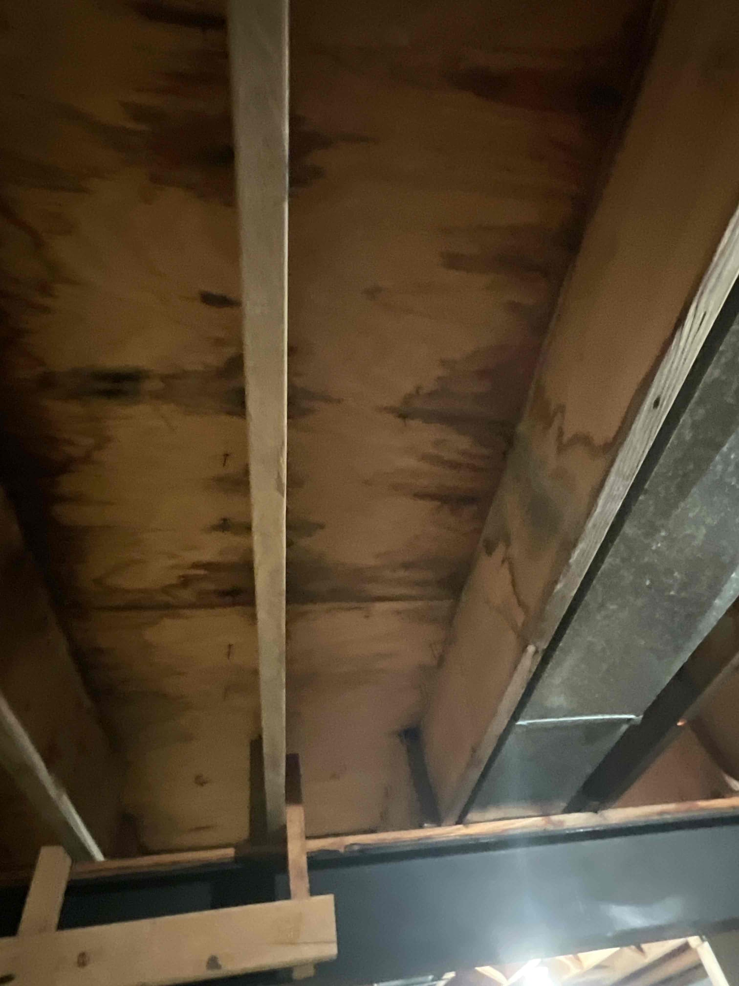 Wet Ceiling due to fridge leak