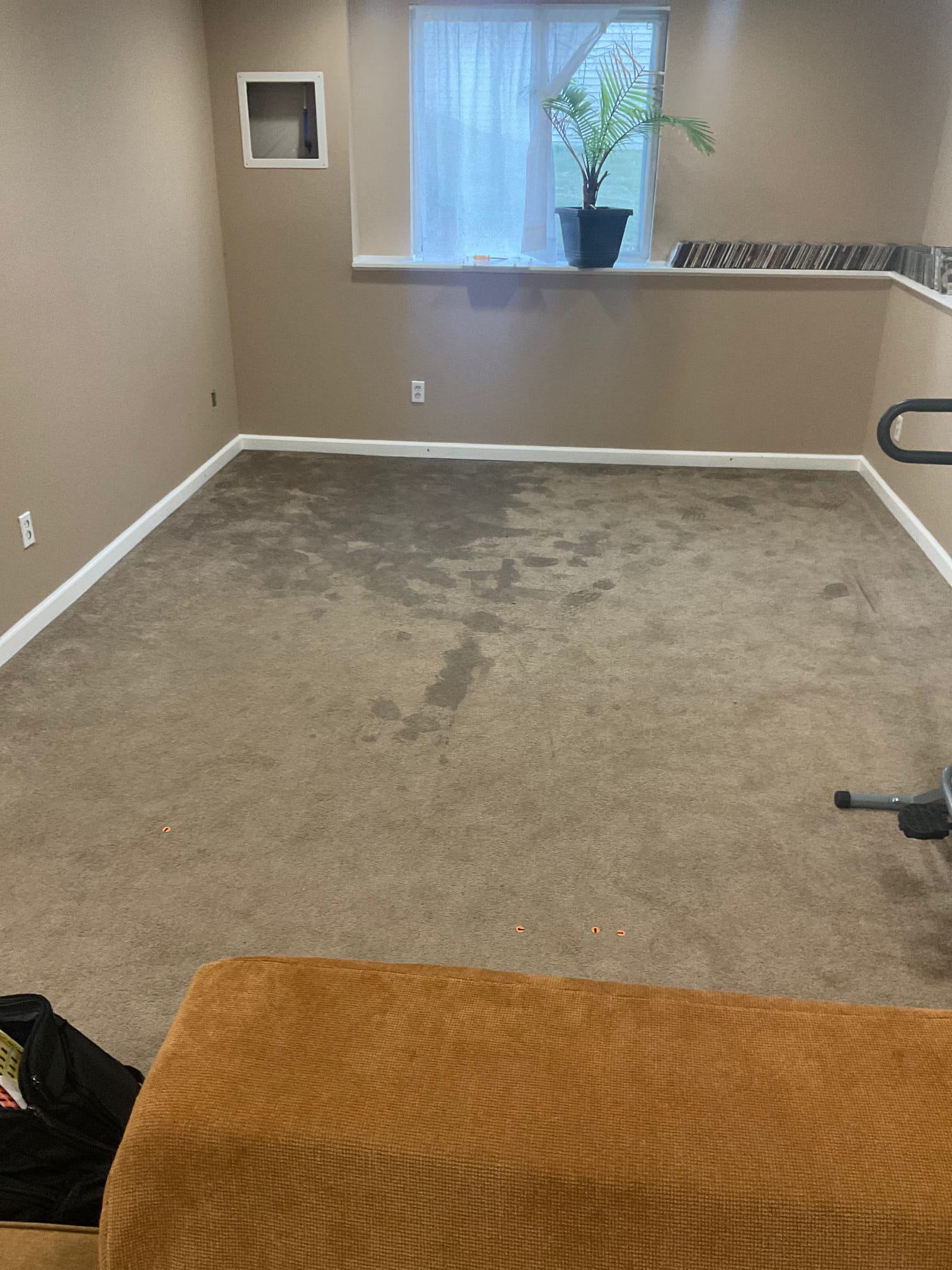 Wet Carpet and Drywall
