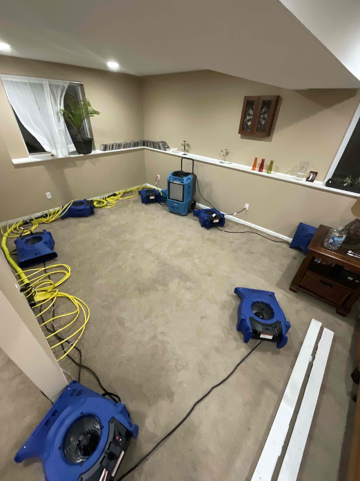 Carpet and wall drying in basement