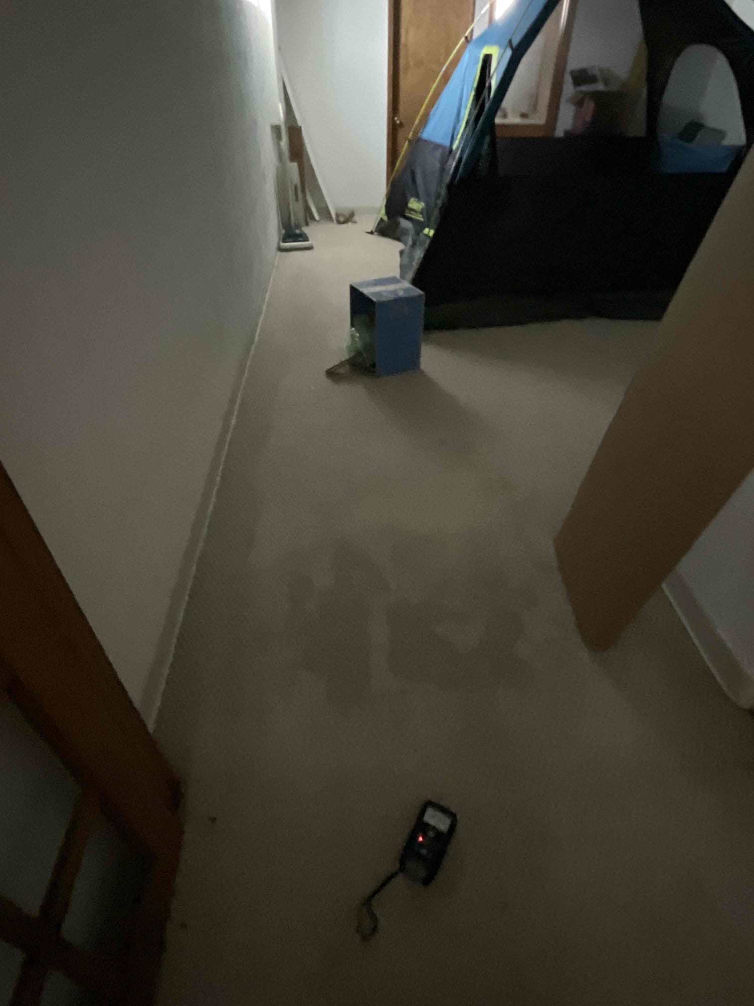 Wet Carpet due to sewage backup 