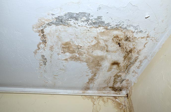 mold on white ceiling water leak