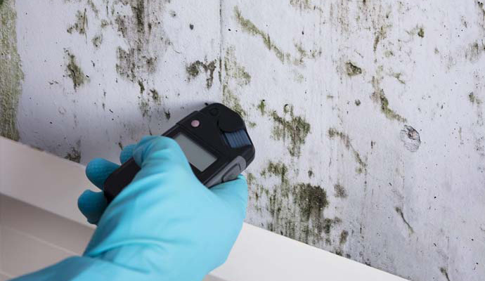 Water removal and mold remediation service