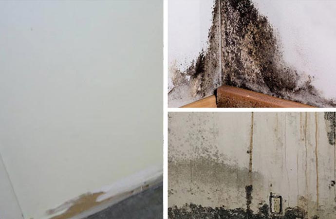 Before and after mold removal service.