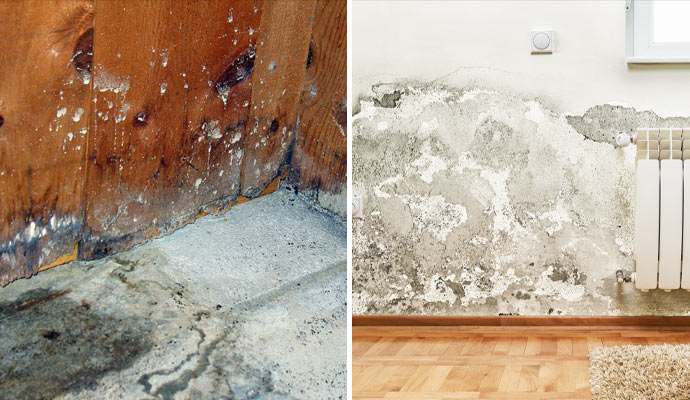 Water and mold damage scenes