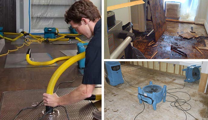 professionally water removal in Kentwood