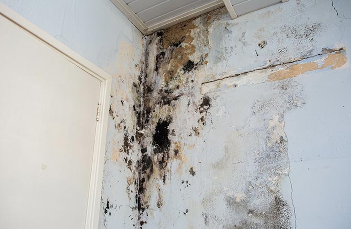 water damage causing mold growth on the interior walls of a property structural mold damage