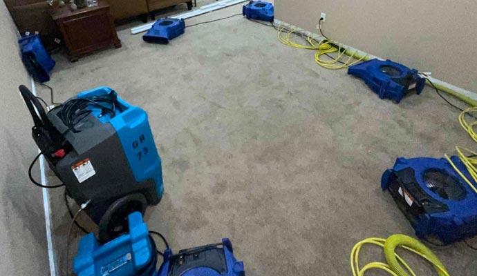 water removal processing service