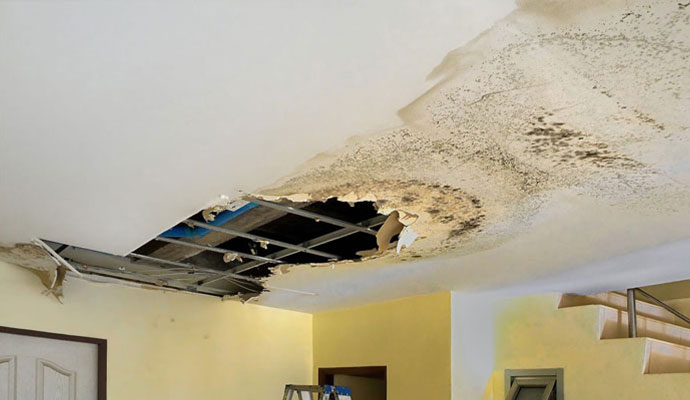 Wet Ceiling Repairing Service