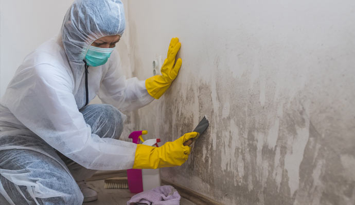 Professional worker removing mold from the wall