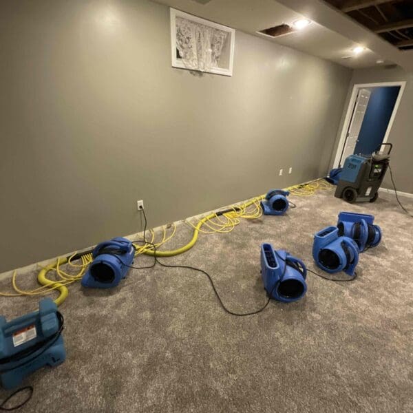 Brighton Water Damage - WRS PROS