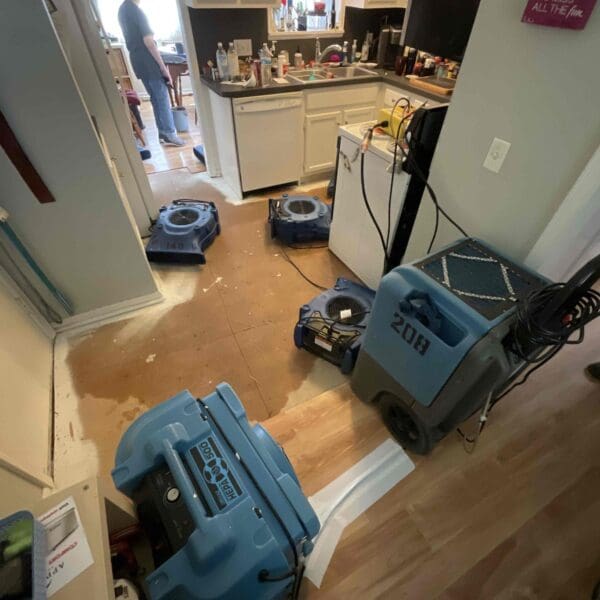 Professional Water Damage Services in Brighton