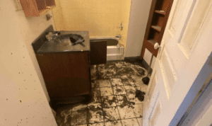 Camelot Emergency Water Removal - Camelot Emergency Water Removal