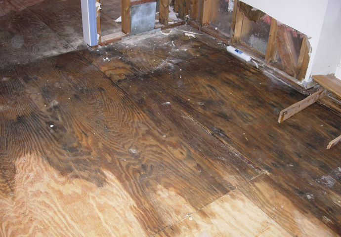 Camelot Emergency Water Removal - Camelot Emergency Water Removal Wet Floor