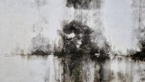 Mold-on-the-wall