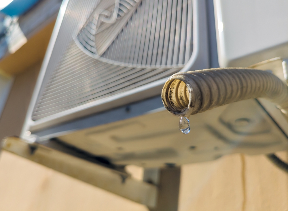 AC Drain Overflow Cleanup in Kalamazoo & Grand Rapids, MI